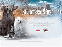 Tablet Screenshot of bielanskasfora.com